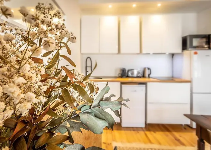 Jardin Public : T3 Renove Immeuble Pierre Apartman *